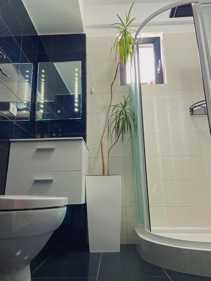 Peacock Apartament- Stefan Building Apartament Năvodari Zewnętrze zdjęcie